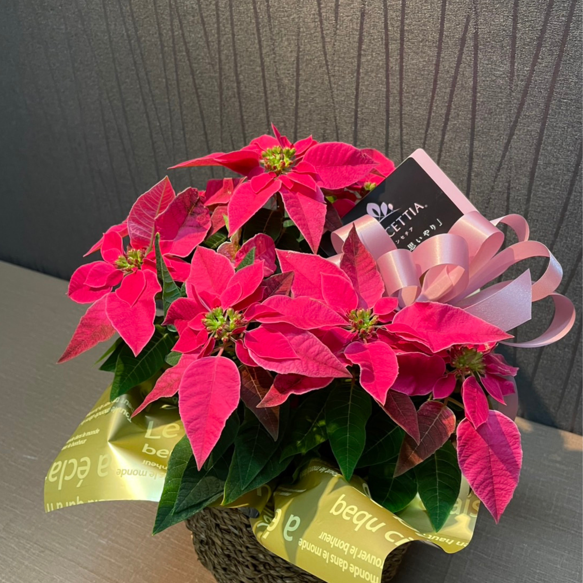 おすすめ商品01