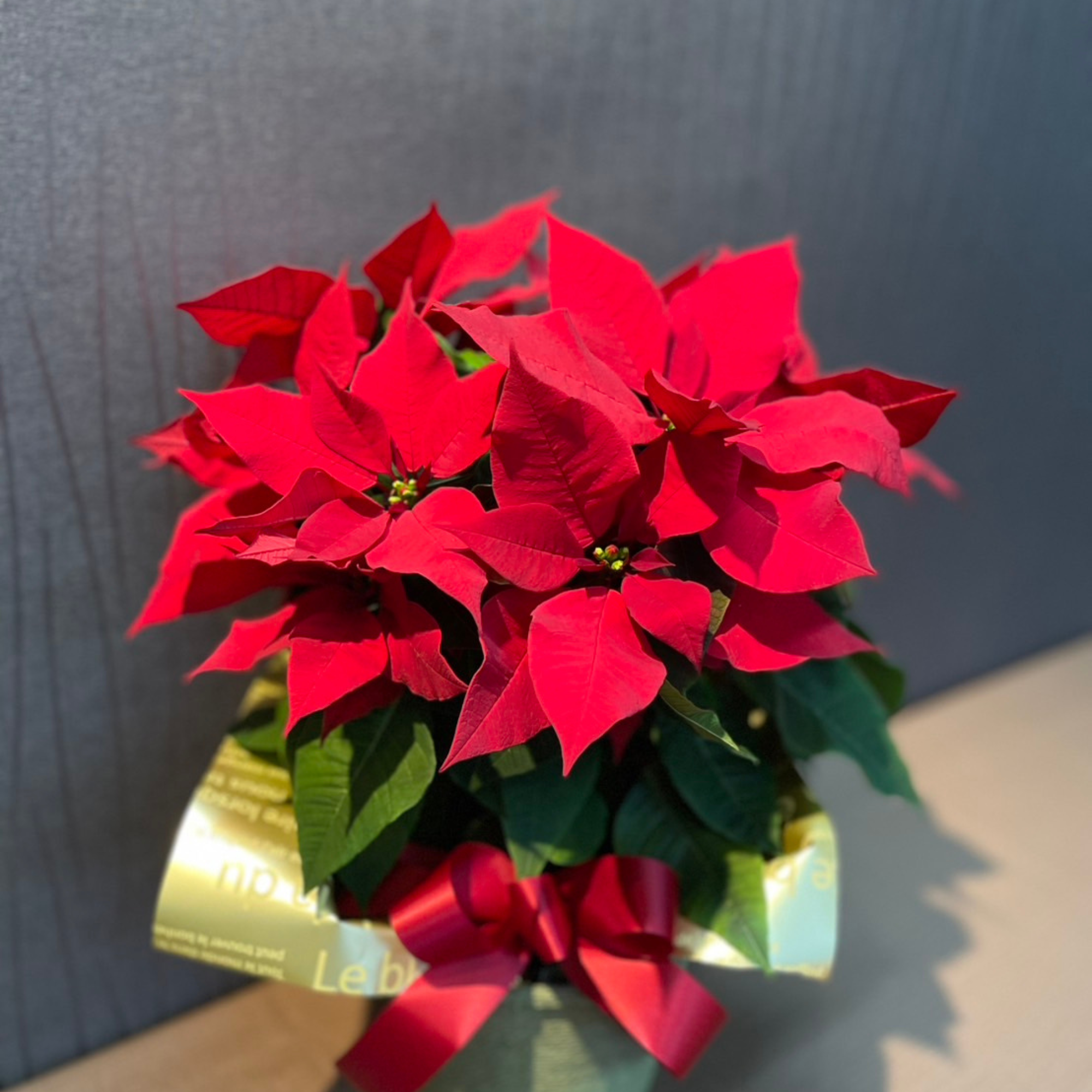 おすすめ商品01