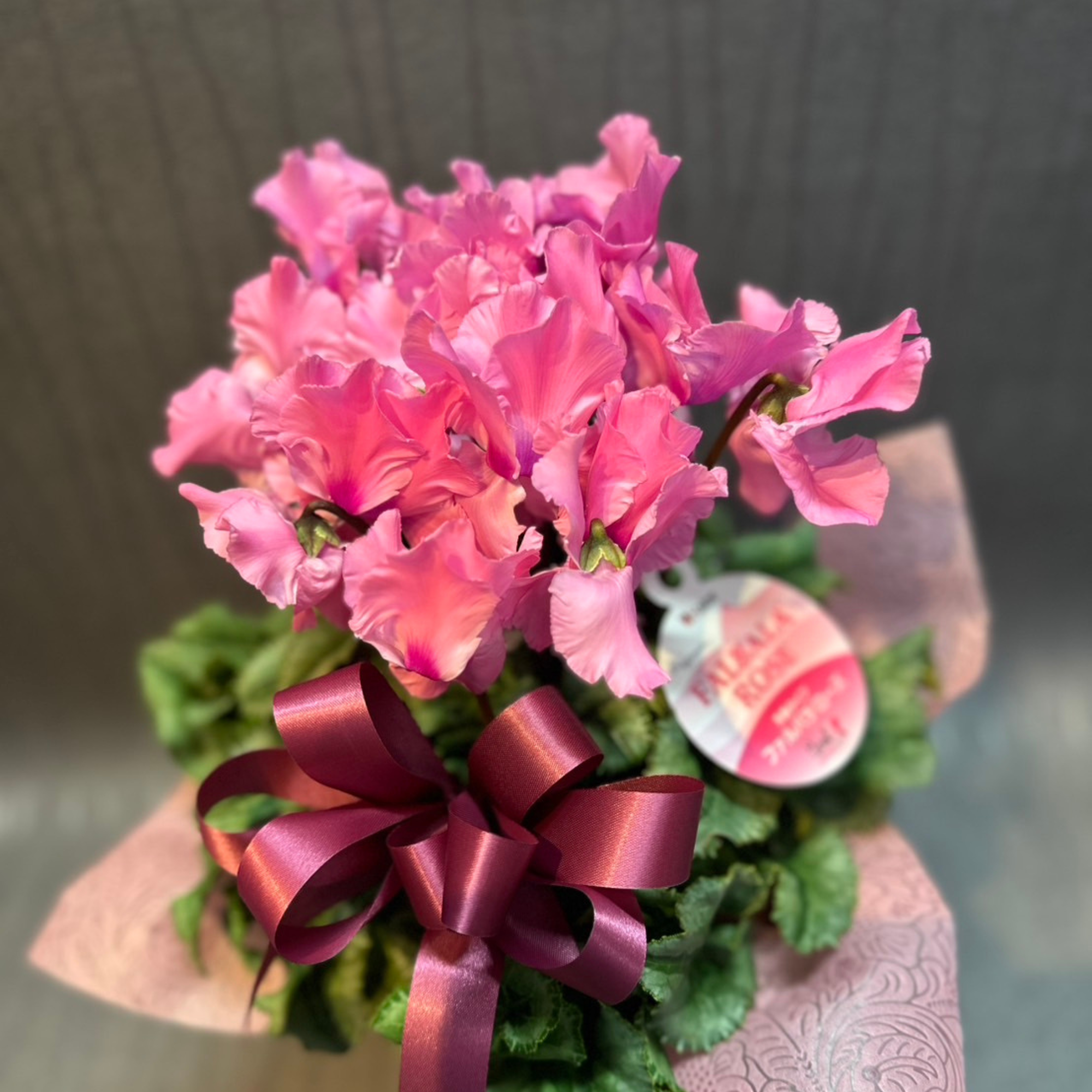 おすすめ商品01