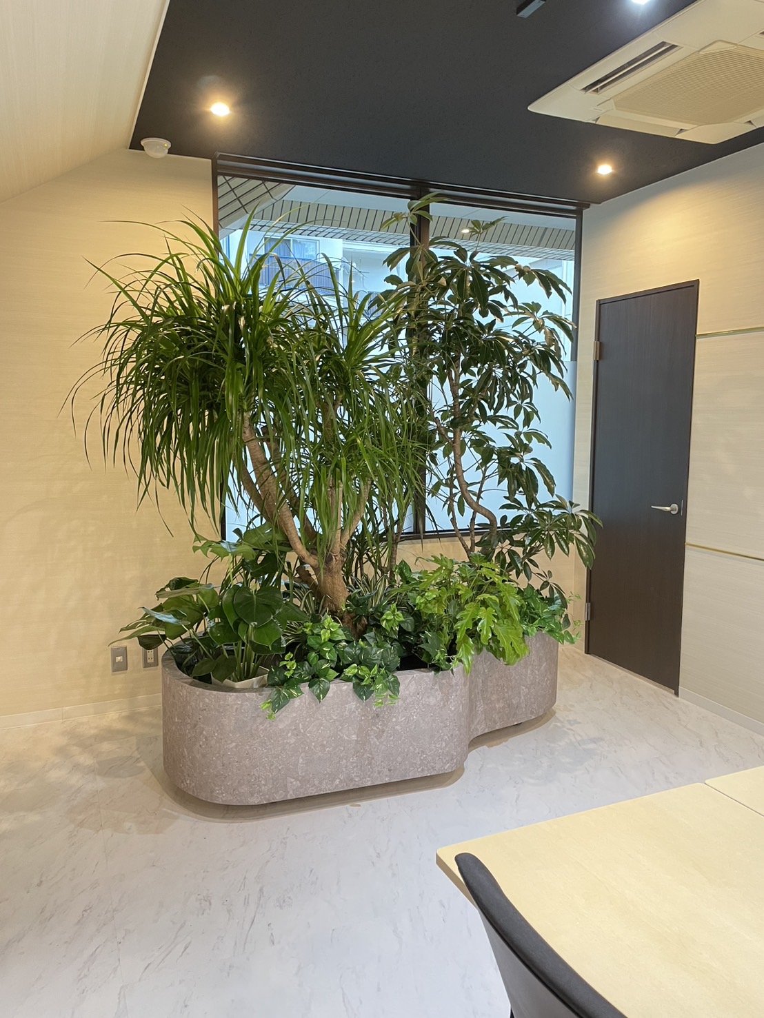 観葉植物の作品1