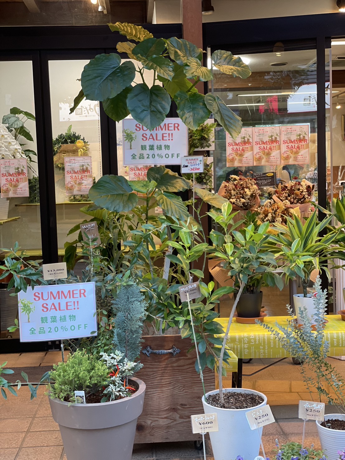 観葉植物の作品3