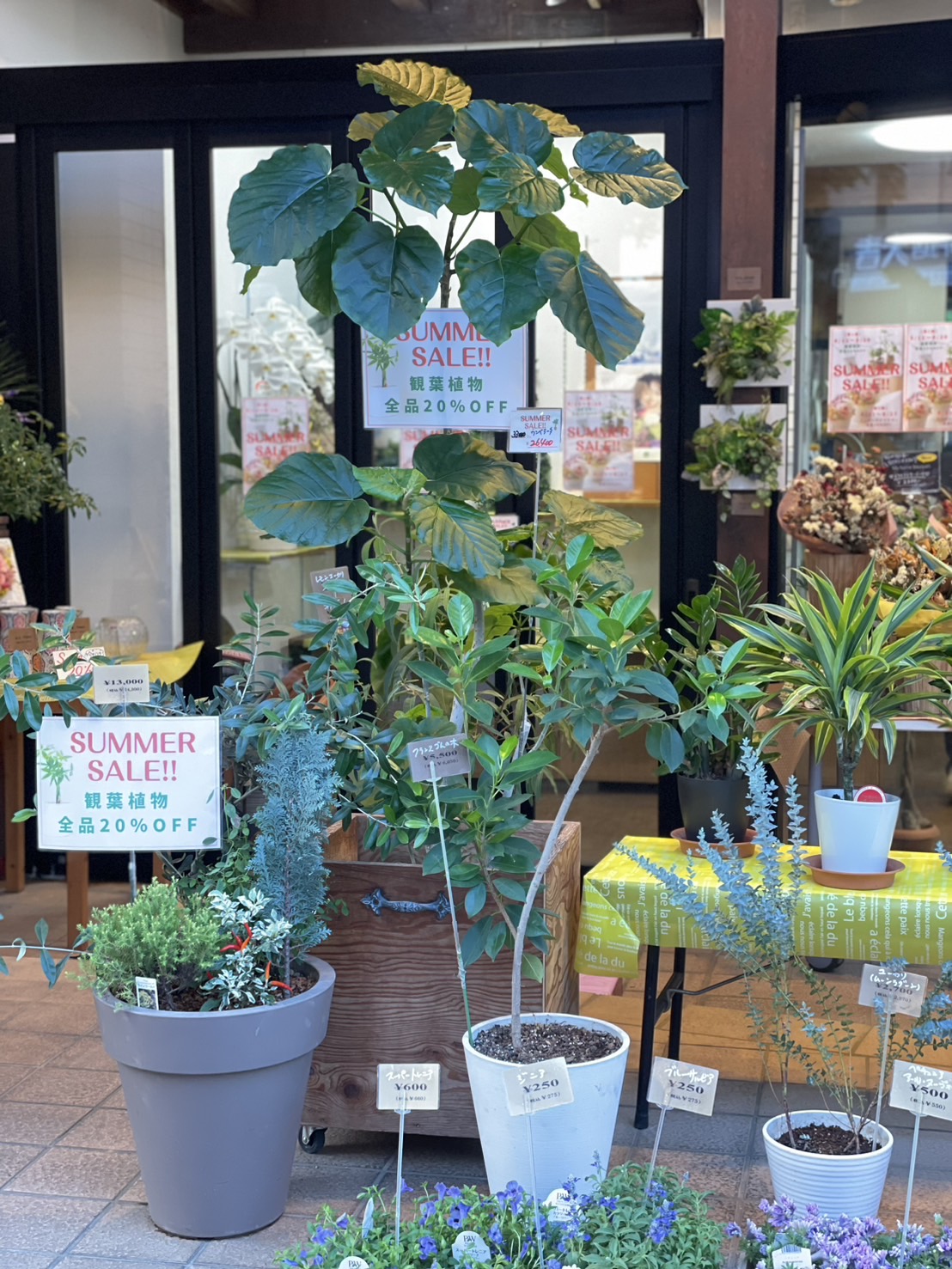 観葉植物の作品5