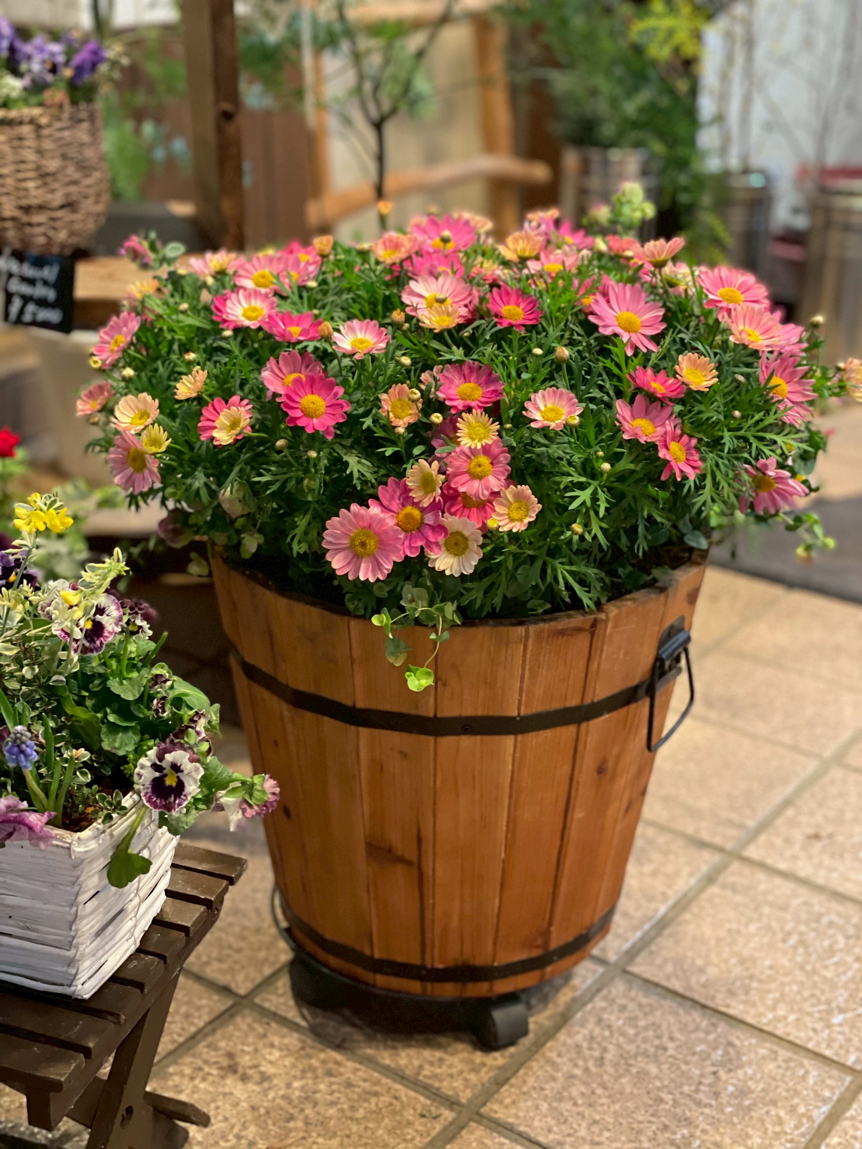 ガーデニングの作品1