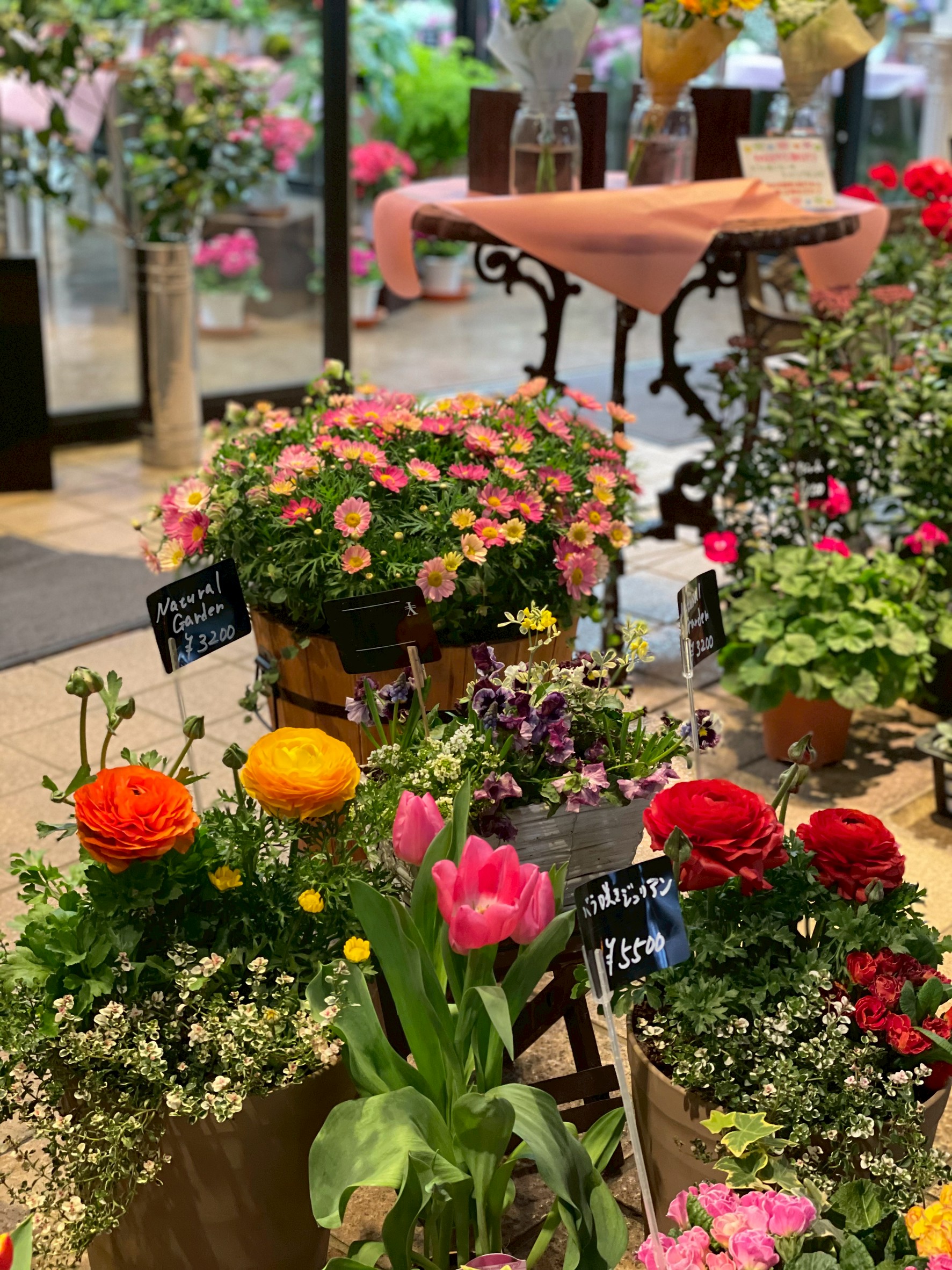 ガーデニングの作品2