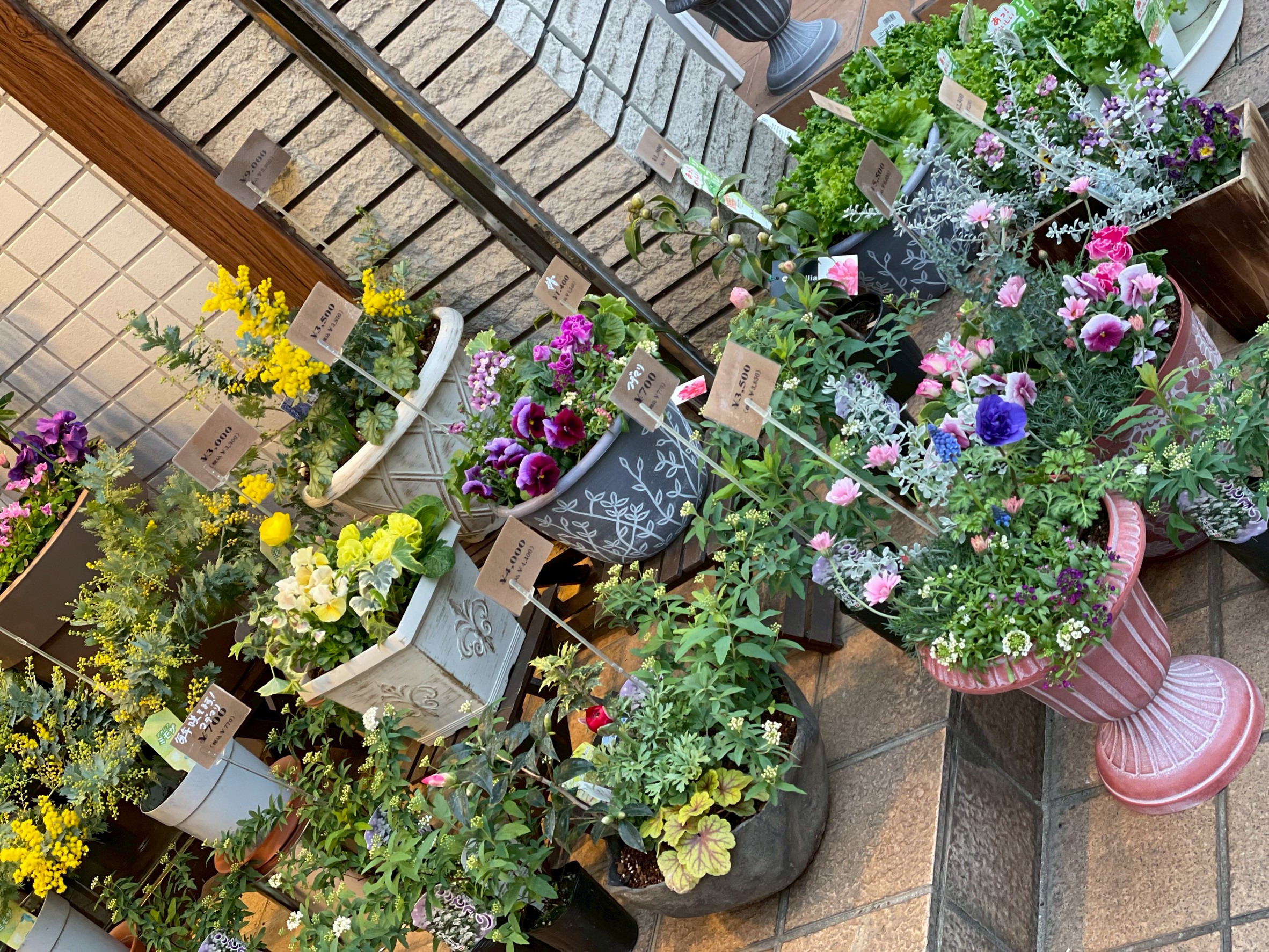 ガーデニングの作品5