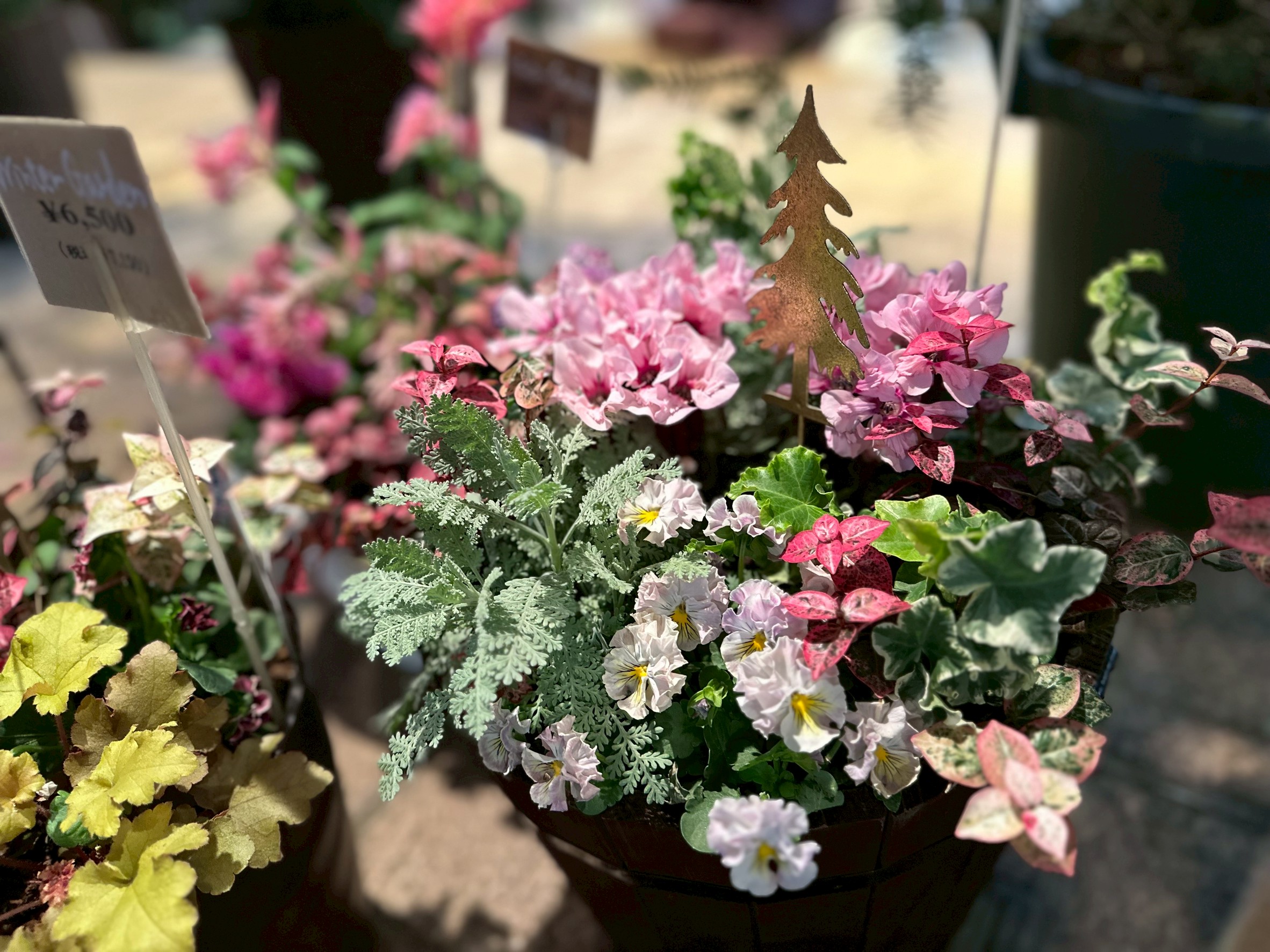 ガーデニングの作品7