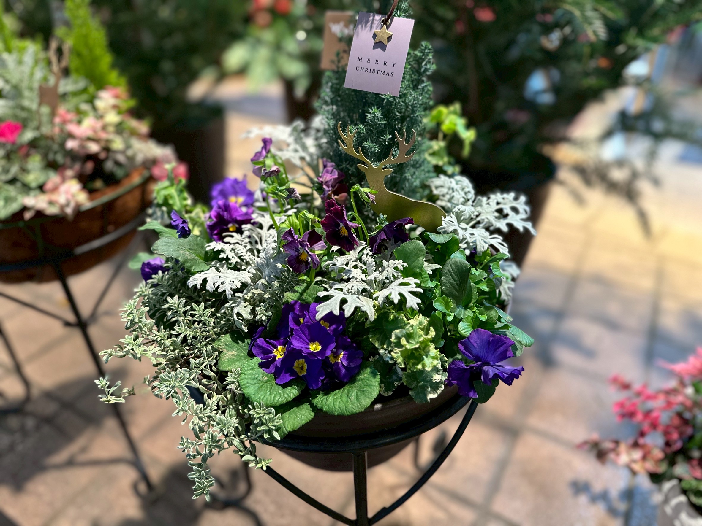 ガーデニングの作品8